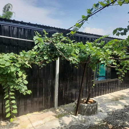บ้านสวนปวิชญา เกษตรอินทรี Fang Exterior photo
