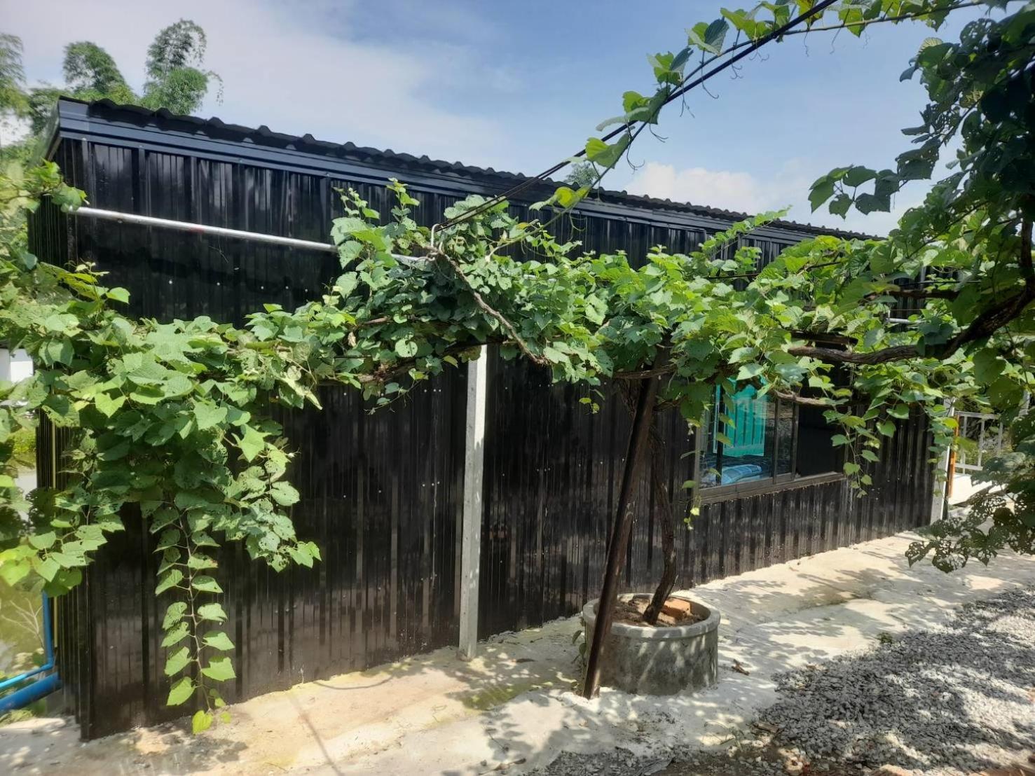บ้านสวนปวิชญา เกษตรอินทรี Fang Exterior photo